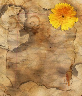 Old grunge burnt paper clipart