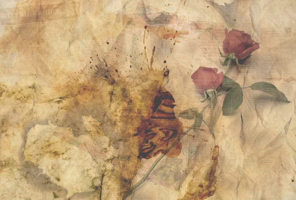 旧复古玫瑰纸张背景 — 图库照片