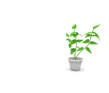 Green 3d Plant clipart
