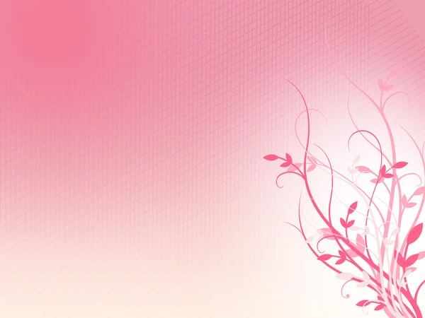 粉红色的花卉藤蔓背景 — 图库照片