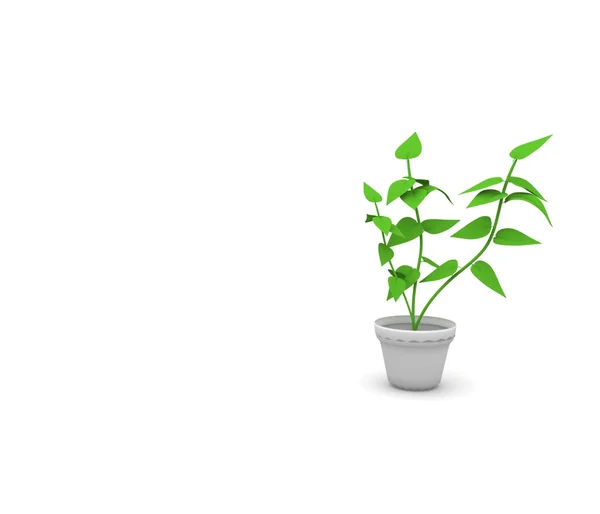 Yeşil 3d bitki — Stok fotoğraf