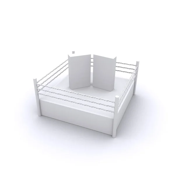 Two Boxes In The Fight Ring — Stock Photo, Image