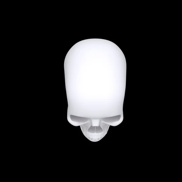 3D-s fehér koponya fejjel — Stock Fotó