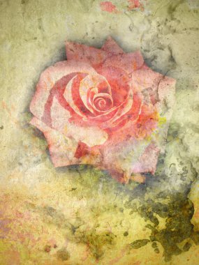 Grunge Rose Texture clipart