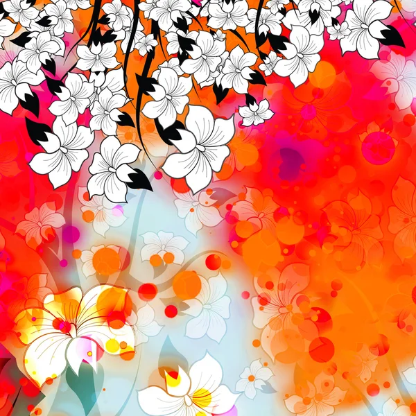 Vit blomma färgad bakgrund — ストック写真