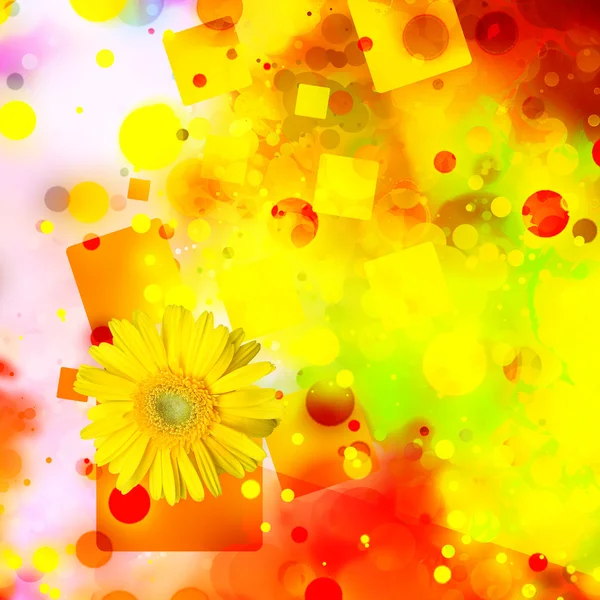Blur Floral Cubes Design — Stock Photo, Image