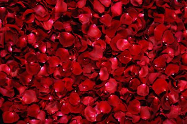 Background of red rose petals clipart