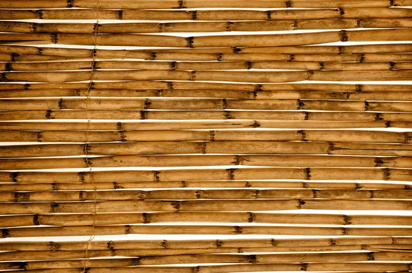 Stock image Bamboo background