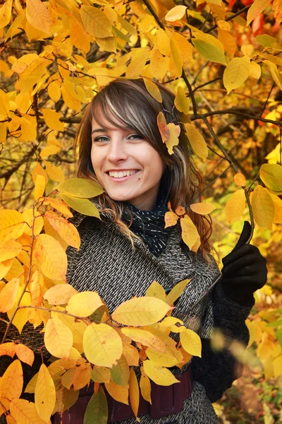 stock image Beautiful girl among yellow autumn leaves