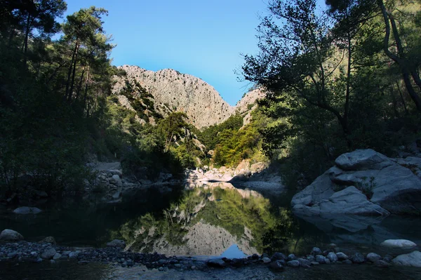 dağ ve orman onların yansıması ile beautifaul görünümü