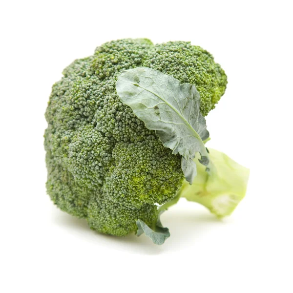 stock image Single broccoli head isolated on white background;