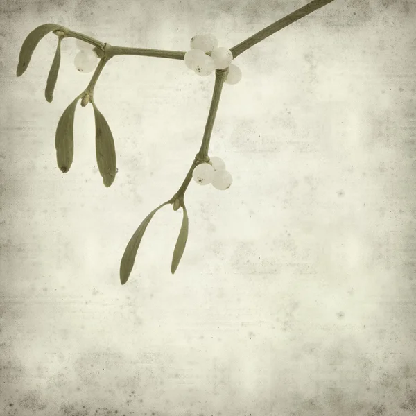 Textured old paper background with Mistletoe with white berries — Stock Photo, Image
