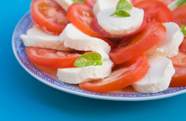 밝은 파란색 바탕에 파란색과 흰색 접시에서 insalata caprese;