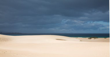 Fuerteventura, corralejo kumulları doğa parkı, kum tepeleri t