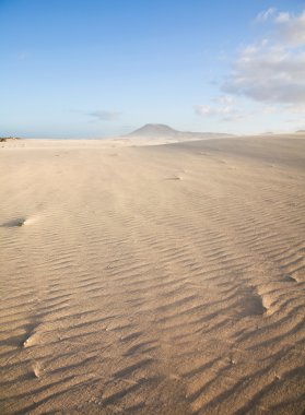 Fuerteventura, corralejo kumulları Tabiat Parkı