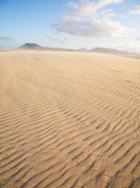 Fuerteventura, corralejo kumulları Tabiat Parkı