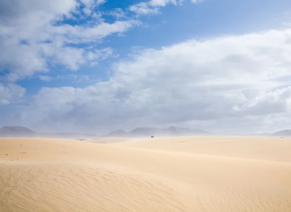 Kanarische Inseln Fuerteventura Dünen Des Naturparks Corralejo Kleiner Sandsturm — Stockfoto