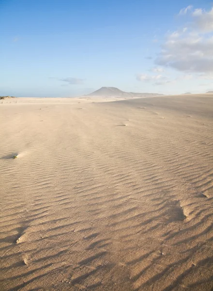 Fuerteventura, Parque Natural das Dunas de Areia Corralejo — Fotografia de Stock