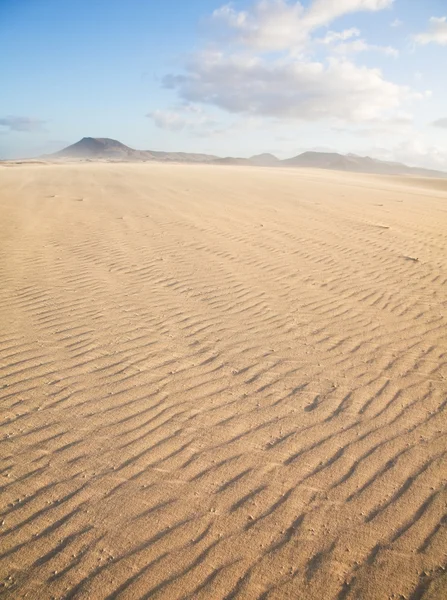 Fuerteventura, Corralejo sand dunes nature park — Stock Photo, Image