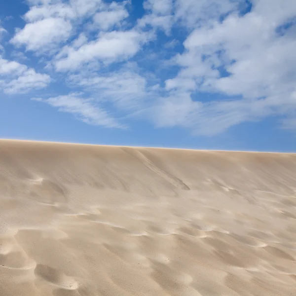 Sandabstrakt Dünenrand Verschwimmt Mit Beweglichem Sand — Stockfoto