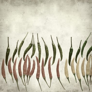 Textured old paper background with chili peppers clipart