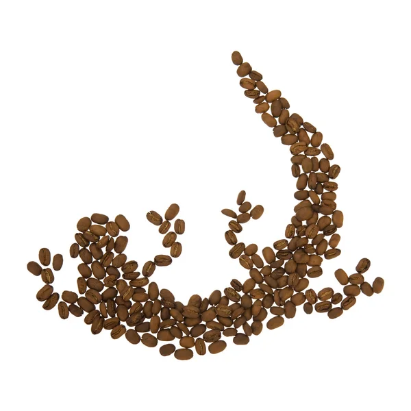 Koffie kunst - hagedis gemaakt van koffiebonen; geïsoleerd op witte achtergrond; — Stockfoto