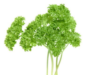 Small bunch of curly parsley leaves, isolated clipart