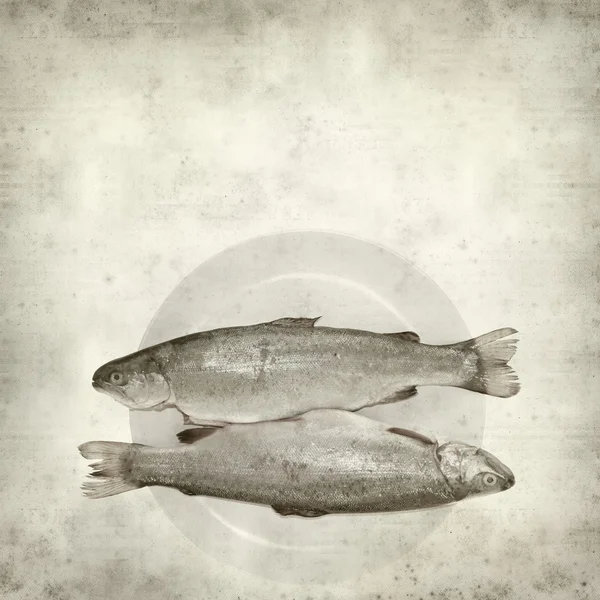 stock image Textured old paper background with fresh raw trout