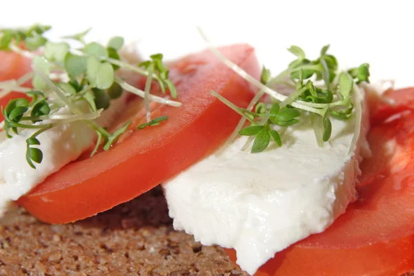 Mozarella Tomato Open Sandwich Multigrain Bread — Stock Photo, Image