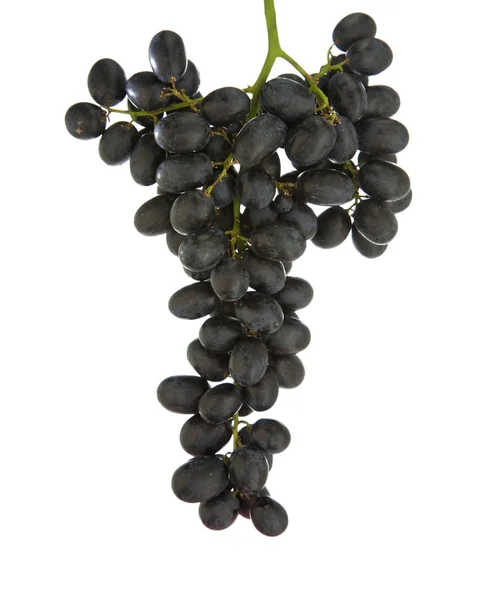 黑葡萄一群孤立的白色背景 — 图库照片