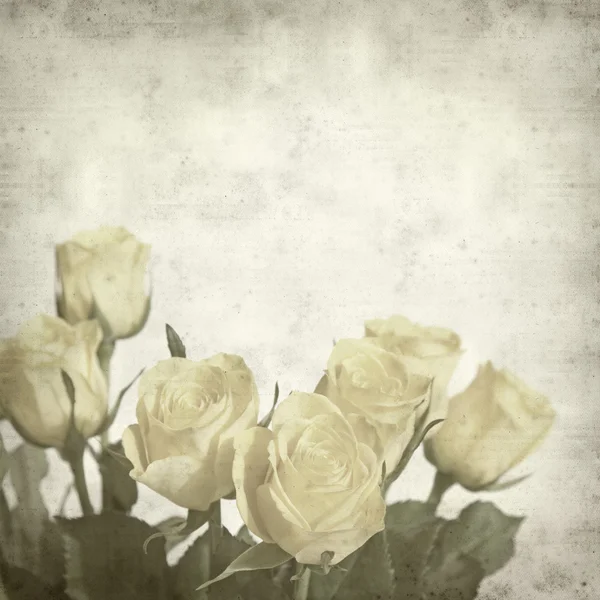 纹理与淡黄色玫瑰的旧纸张背景。 — 图库照片