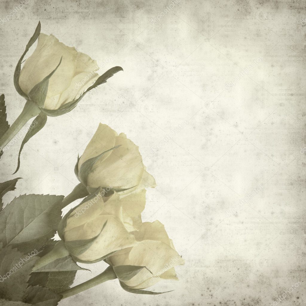 Textured old paper background with pale yellow rose