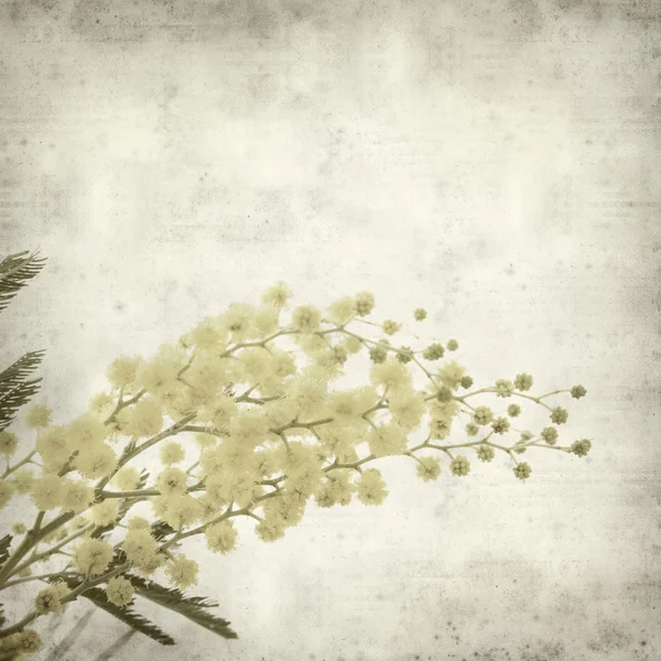 Strukturierte Alte Papier Hintergrund Mit Runden Flauschigen Gelben Mimosen Blumen — Stockfoto