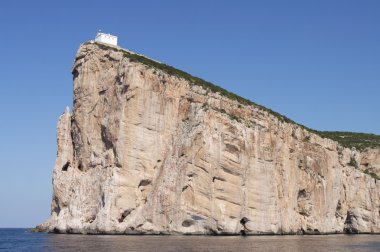 Sardunya, capo caccia, geniş açı çekim