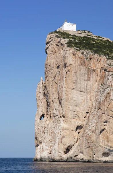 Sardunya, capo caccia