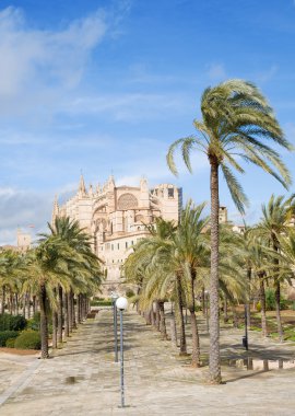 Palma de Mallorca;through palm-lined path towards the cathedral La Seu; clipart