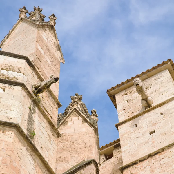 Pilíře a chrliče, Katedrála la seu; Palma de mallorca — Stock fotografie