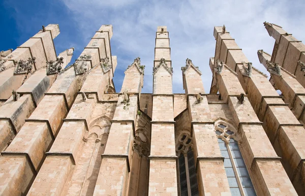 Buttresses, cathedral La Seu, Palma de Mallorca — Stok fotoğraf