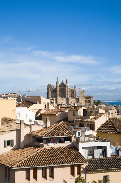 Bir Palma Mallorca Eski Şehir Duvarları Beklerle Çatılardan Yere Cathedral — Stok fotoğraf