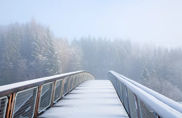 Norvegia Ponte Pedonale Sotto Neve Impronte Animali — Foto Stock