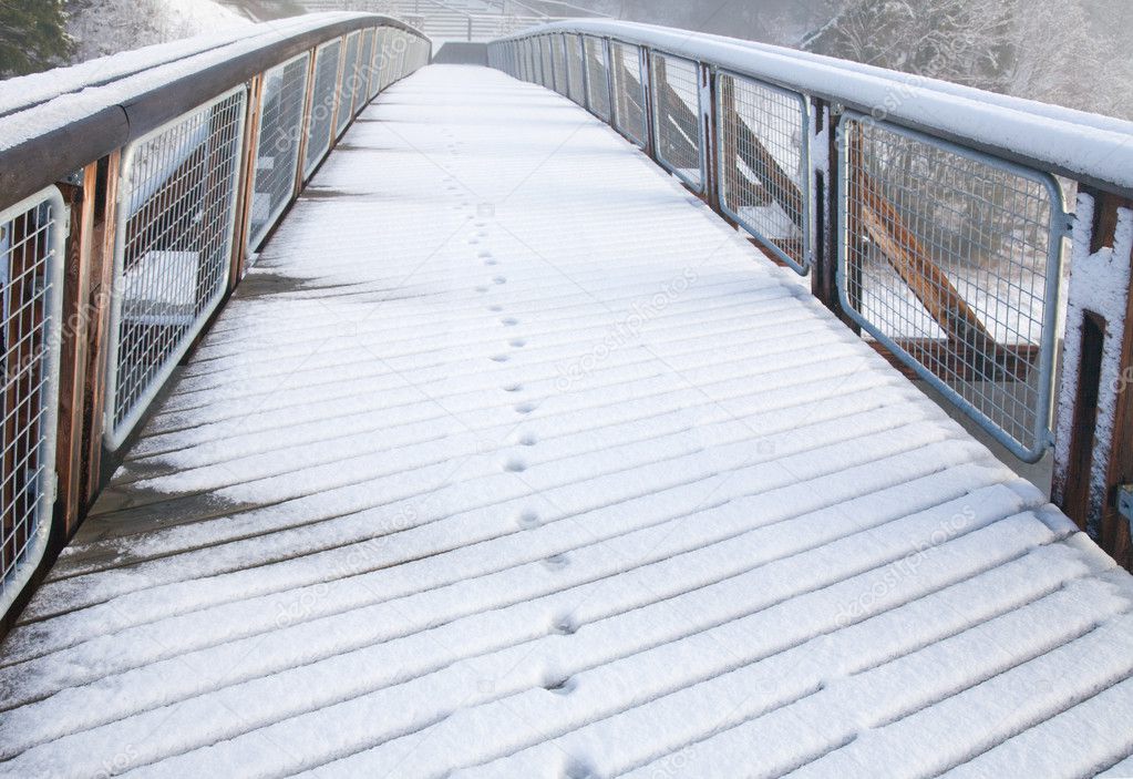 Norway, pedestrian bridge under snow, animal footprints