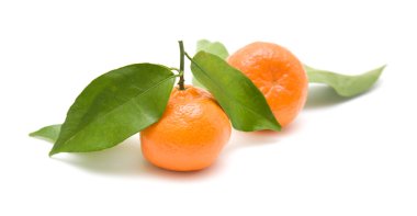 Clementines with leaves, isolated on white background clipart