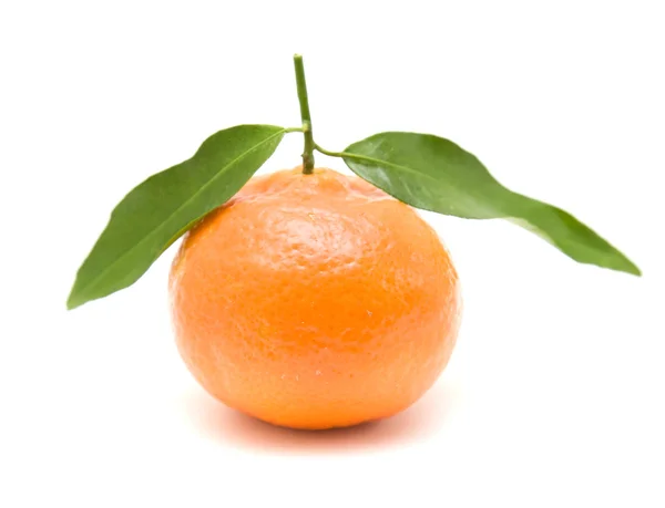 Clementinen mit Blättern, isoliert auf weißem Hintergrund — Stockfoto