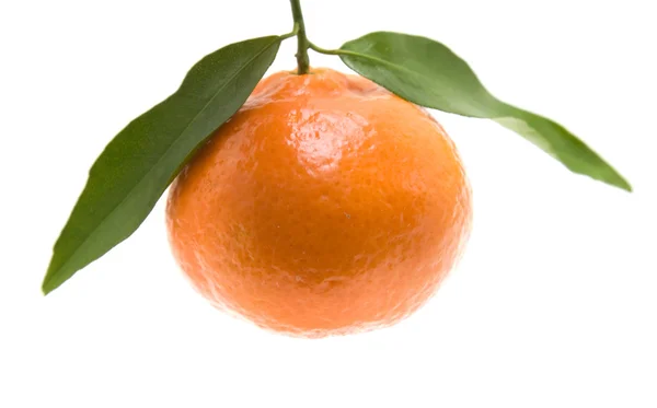 柑橘与孤立在白色背景上的叶子 — 图库照片