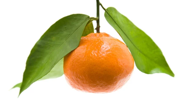 柑橘与孤立在白色背景上的叶子 — 图库照片