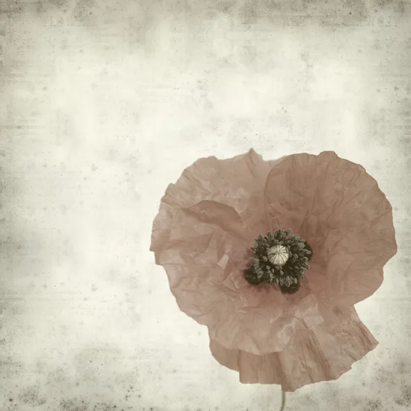 Textured Old Paper Background Poppy Flower — Stock Photo, Image