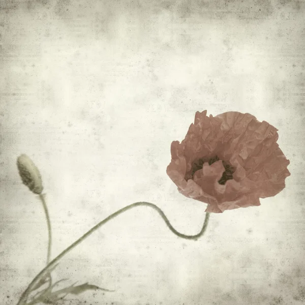 ケシの花を持つ古い用紙の背景のテクスチャ — ストック写真