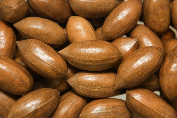 Zralé Pekanové Ořechy Pozadí — Stock fotografie
