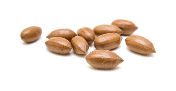 Pecan nuts scattered; isolated; on white background; — Stock Photo, Image