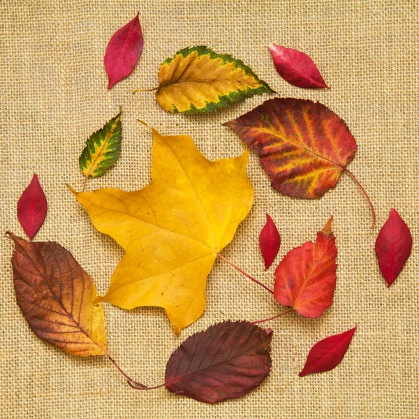 Autumn Colorful Leaves Pattern Burlap Fabric Texture — Stock Photo, Image